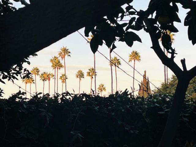 Costa Mesa Homestay - Private Rooms With 2 Shared Baths And Hosts Onsite מראה חיצוני תמונה
